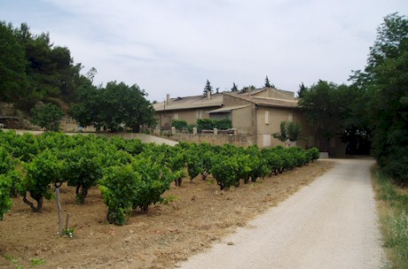 Chateau Rayas